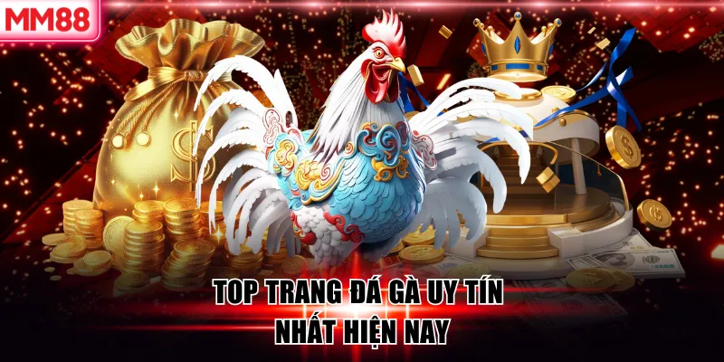 Top 6 Trang Đá Gà Uy Tín 2026 – Chọn Trang Cược An Toàn Cùng MM88 7 Top trang đá gà uy tín nhất hiện nay